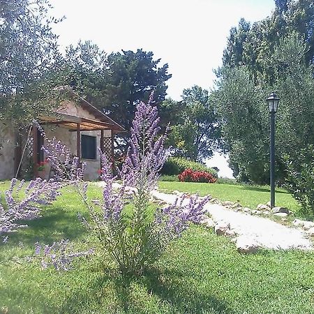 הוילה טרקיניה Casale Dinelli חדר תמונה